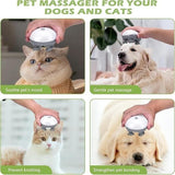 Smart Scalp Massager